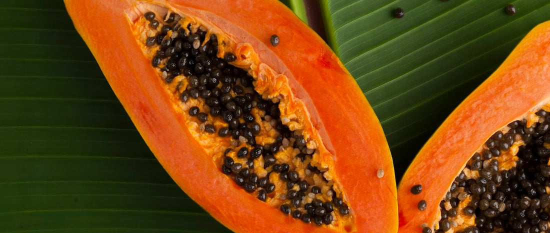 10 Tips to Achieve a Great Shape Body and Wellness Using Organic Supplements and Vitamins - Bordin Health™ Store